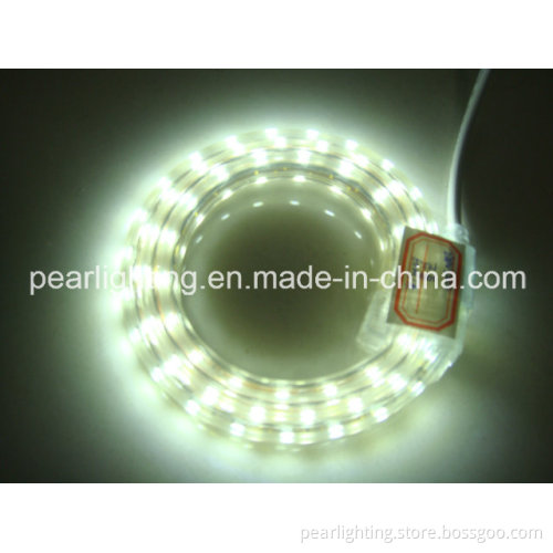 Waterproof SMD5050 IP65 White Rope Light
